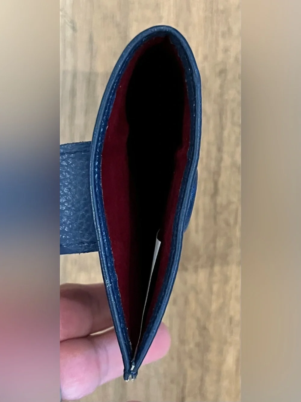 Anuschka Blue Red White Eagle Eyeglass Case